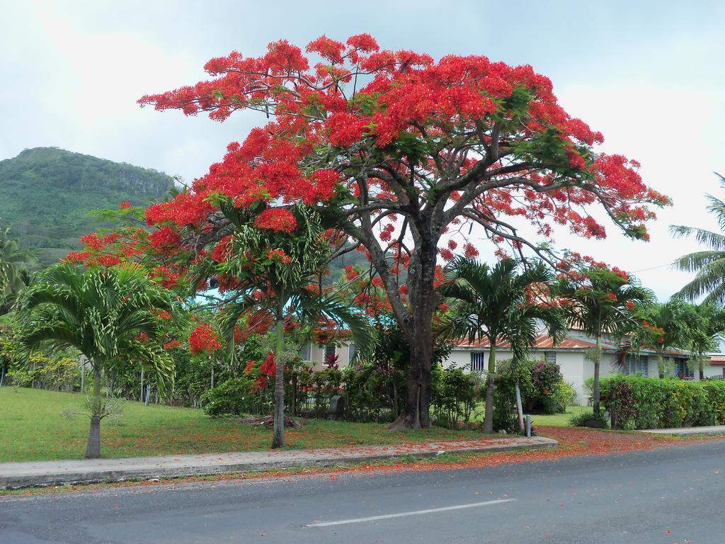 Coral Sands Apartments Rarotonga Buitenkant foto